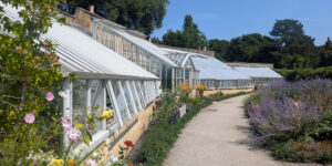 Fulham Palace Greenhouse exterior