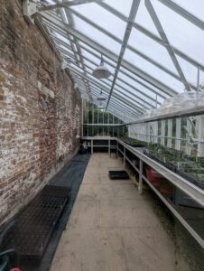 Interior of greenhouse