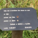 Grenfell 3rd Anniversary