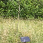 Grenfell 3rd Anniversary