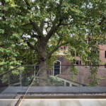 Terrace and courtyard