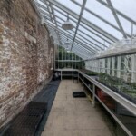 Interior of greenhouse